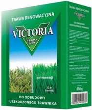 Trawa Nasiona Victoria Do Odbudowy Trawnika 0.8KG