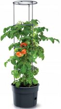 Zdjęcie Doniczka Do Pomidorów Tomato Grower Ipom300 - Puławy