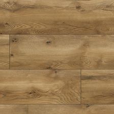 Zdjęcie Classen Dąb Serengeti 54845 Arteo 10 Xl - Ciechocinek