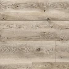 Zdjęcie Classen Dąb Indianapolis 54848 Arteo 10 Xl - Bełchatów