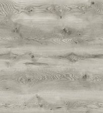 Zdjęcie Classen Dąb Silverstone 54847 Arteo 10 Xl - Czchów