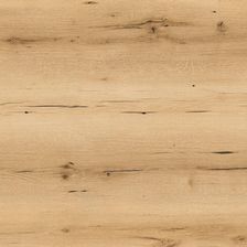 Zdjęcie Classen Dąb Denali 54831 Arteo 8Xl - Żary