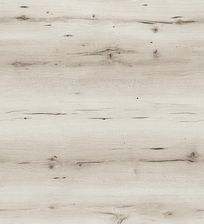 Zdjęcie Classen Dąb Porto 54835 Arteo 8Xl - Szczecinek