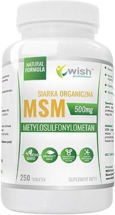 Wish MSM Siarka Organiczna 500 mg 250 tabl