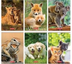 Zdjęcie Herlitz Zeszyt W Trzylinie Animals A5 32 Kartki Mix Okładek - Łaszczów
