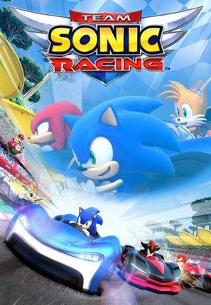 Team Sonic Racing (Gra NS Digital)