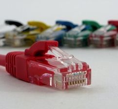 Netrack patchcord RJ45 osłonka zalewana, kat 5e UTP, 0.25m, czerwony (BZPAT025UR)