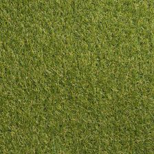 Zdjęcie SZTUCZNA TRAWA SHELTON 200X400 - Szczecin