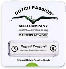 Zdjęcie Nasiona Konopi Dutch Passion Forest Dream 5szt. - Brzeszcze