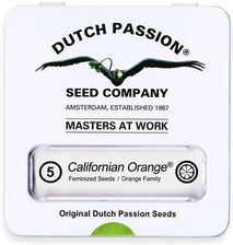 Zdjęcie Nasiona Konopi Dutch Passion California Orange 5szt. - Wisła