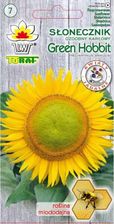 Zdjęcie Toraf Kwiaty Słonecznik Green Hobbit Nasiona 1G - Piastów