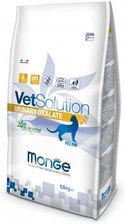 Monge Vetsolution Urinary Oxalate Karma Sucha 1,5Kg