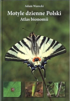 Motyle dzienne Polski Atlas bionomii - Adam Warecki