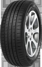 Minerva F 209 205/55R15 88V