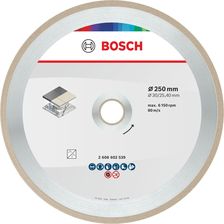 Zdjęcie Bosch Standard for Ceramic 250x30/25,4x7mm 2608602539 - Supraśl
