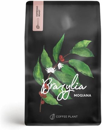 COFFEE PLANT Brazylia Mogiana Kawa ziarnista 1kg