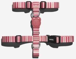 Zdjęcie Zee Dog Peppermint Szelki M - Czarna Woda