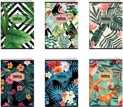 Zdjęcie Elisa Zeszyt W Linie A4 Okł Miękka Tropical A10 ElM10060La4 - Golub-Dobrzyń