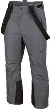 4F Mens Ski Trousers Szary Spodnie Narciarskie Męskie (Z19SPMN00124M)