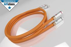 Zdjęcie Ricable Dedalus Signal RCA Długość: 0,5 m - Żmigród