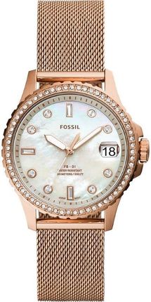 Fossil FB-01 ES4999