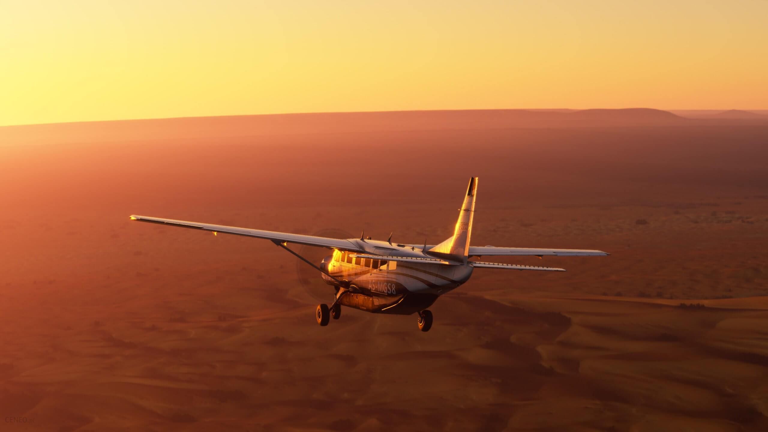 Microsoft Flight Simulator (Gra Xbox Series X)