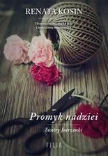 Zdjęcie Promyk nadziei (E-book) - Siemianowice Śląskie