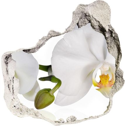 Wallmuralia.Pl Samoprzylepna naklejka fototapeta Orchidea (NDP103920801)