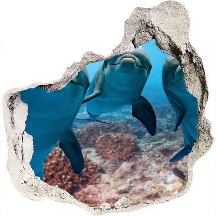 Wallmuralia.Pl Fototapeta dziura na ścianę Delfiny (NDP119968154)
