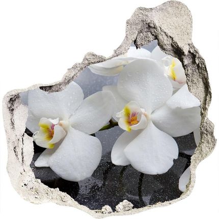 Wallmuralia.Pl Samoprzylepna naklejka fototapeta Orchidea (NDP144310520)