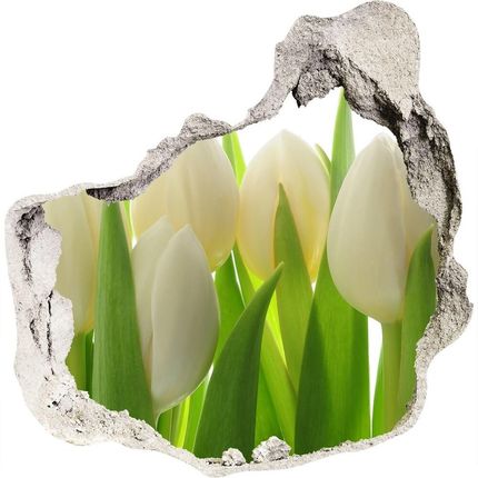 Wallmuralia.Pl Samoprzylepna naklejka fototapeta Tulipany (NDP28819889)