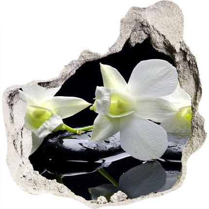 Wallmuralia.Pl Samoprzylepna naklejka fototapeta Orchidea (NDP28908662)