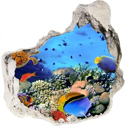 Wallmuralia.Pl Dziura 3d fototapeta naklejka Rafa koralowa (NDP35544351)