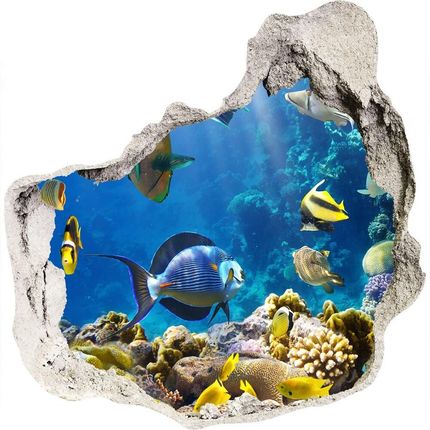 Wallmuralia.Pl Fototapeta dziura na ścianę Rafa koralowa (NDP36026012)