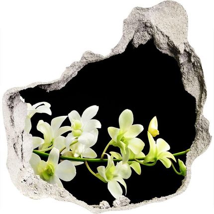 Wallmuralia.Pl Samoprzylepna naklejka fototapeta Orchidea (NDP4005190)