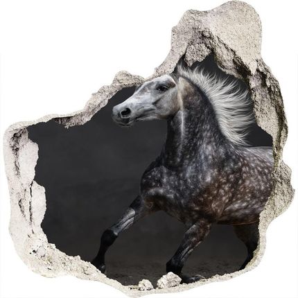 Wallmuralia.Pl Dziura 3d fototapeta na ścianę Szary koń arabski (NDP49747605)