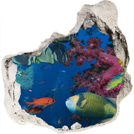 Wallmuralia.Pl Dziura 3d fototapeta na ścianę Rafa koralowa (NDP64308436)