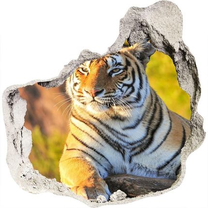 Wallmuralia.Pl Dziura 3d fototapeta naklejka Portret tygrysa (NDP65114965)