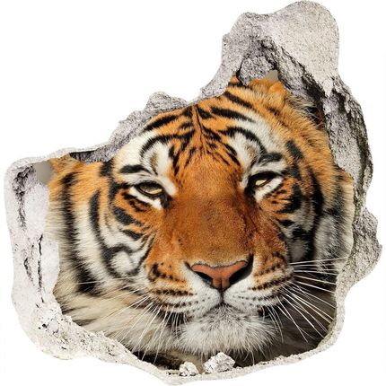 Wallmuralia.Pl Dziura 3d foto tapeta naklejka Tygrys bengalski (NDP88747131)