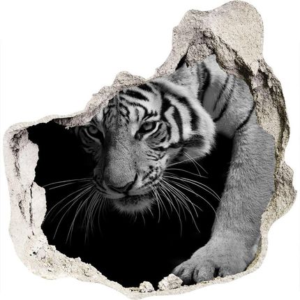 Wallmuralia.Pl Dziura 3d foto tapeta naklejka Tygrys (NDP89533463)