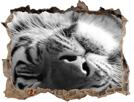 Wallmuralia.Pl Dziura 3d fototapeta naklejka Śpiący tygrys (NDK125000206)