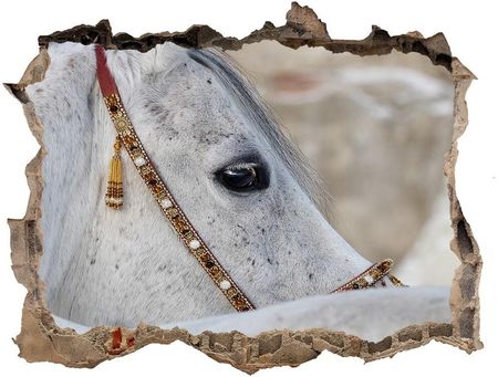 Wallmuralia.Pl Dziura 3d fototapeta naklejka Biały koń arabski (NDK143185113)