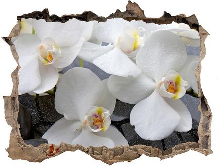 Wallmuralia.Pl Samoprzylepna naklejka fototapeta Orchidea (NDK143985624)