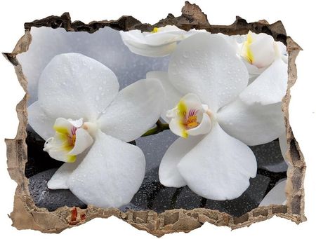 Wallmuralia.Pl Samoprzylepna naklejka fototapeta Orchidea (NDK144310520)