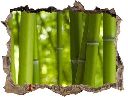 Wallmuralia.Pl Samoprzylepna naklejka fototapeta Bambus (NDK24255297)