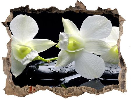 Wallmuralia.Pl Samoprzylepna naklejka fototapeta Orchidea (NDK28908662)