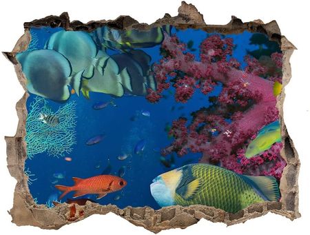 Wallmuralia.Pl Dziura 3d fototapeta na ścianę Rafa koralowa (NDK64308436)