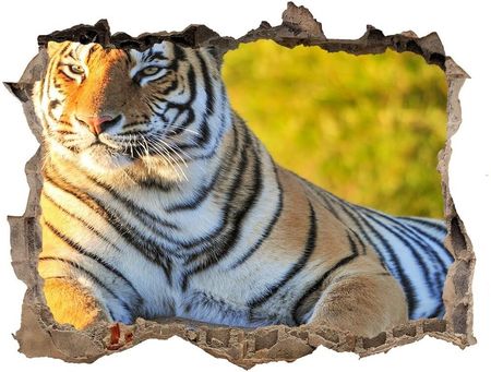 Wallmuralia.Pl Dziura 3d fototapeta naklejka Portret tygrysa (NDK65114965)