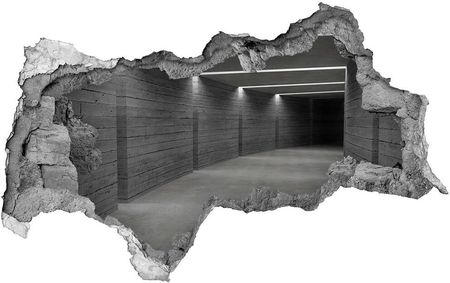 Wallmuralia.Pl Fototapeta dziura na ścianę Betonowy tunel (NDB10670062)