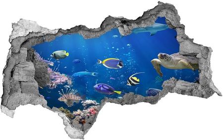Wallmuralia.Pl Dziura 3d fototapeta ścienna Rafa koralowa (NDB161347812)